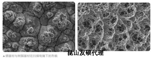 黄浦蔡司黄浦扫描电镜