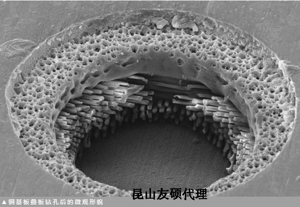 黄浦蔡司黄浦扫描电镜